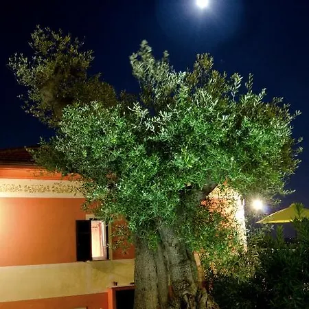 Daire Olivium La Spezia