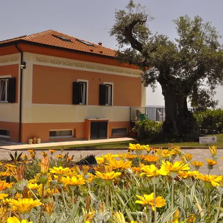 Olivium Daire La Spezia