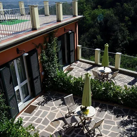 Olivium * Специя