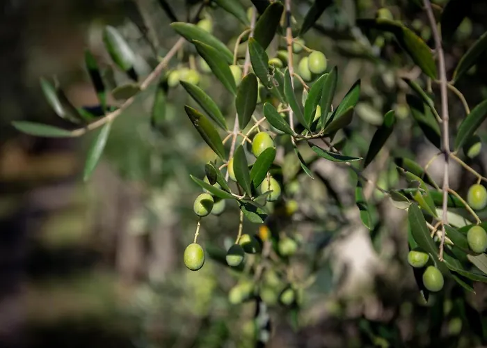 Lejlighed Olivium La Spezia